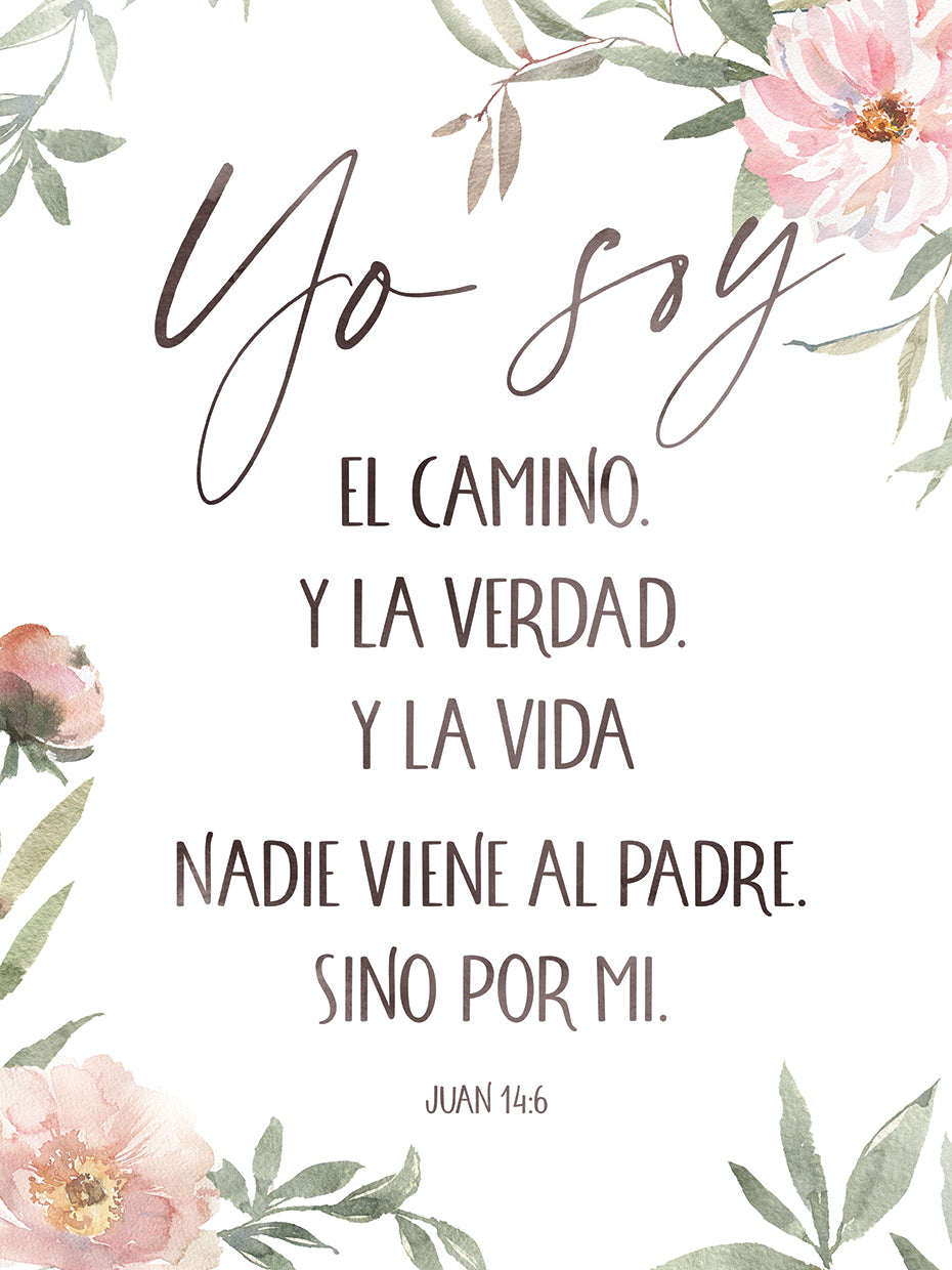 Juan 14:6