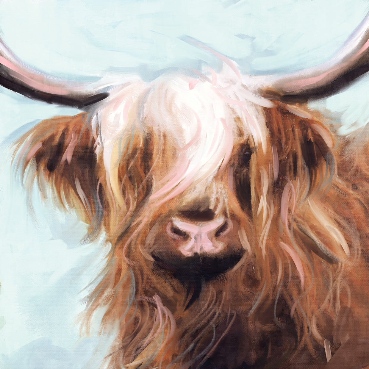 Highland Cow