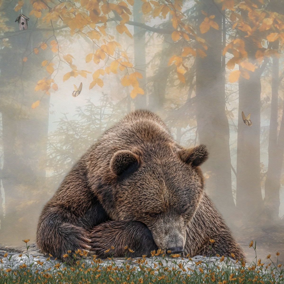 Autumn Slumber