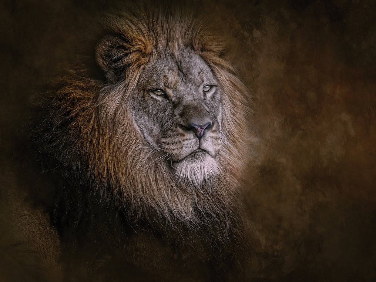 Inner Strength