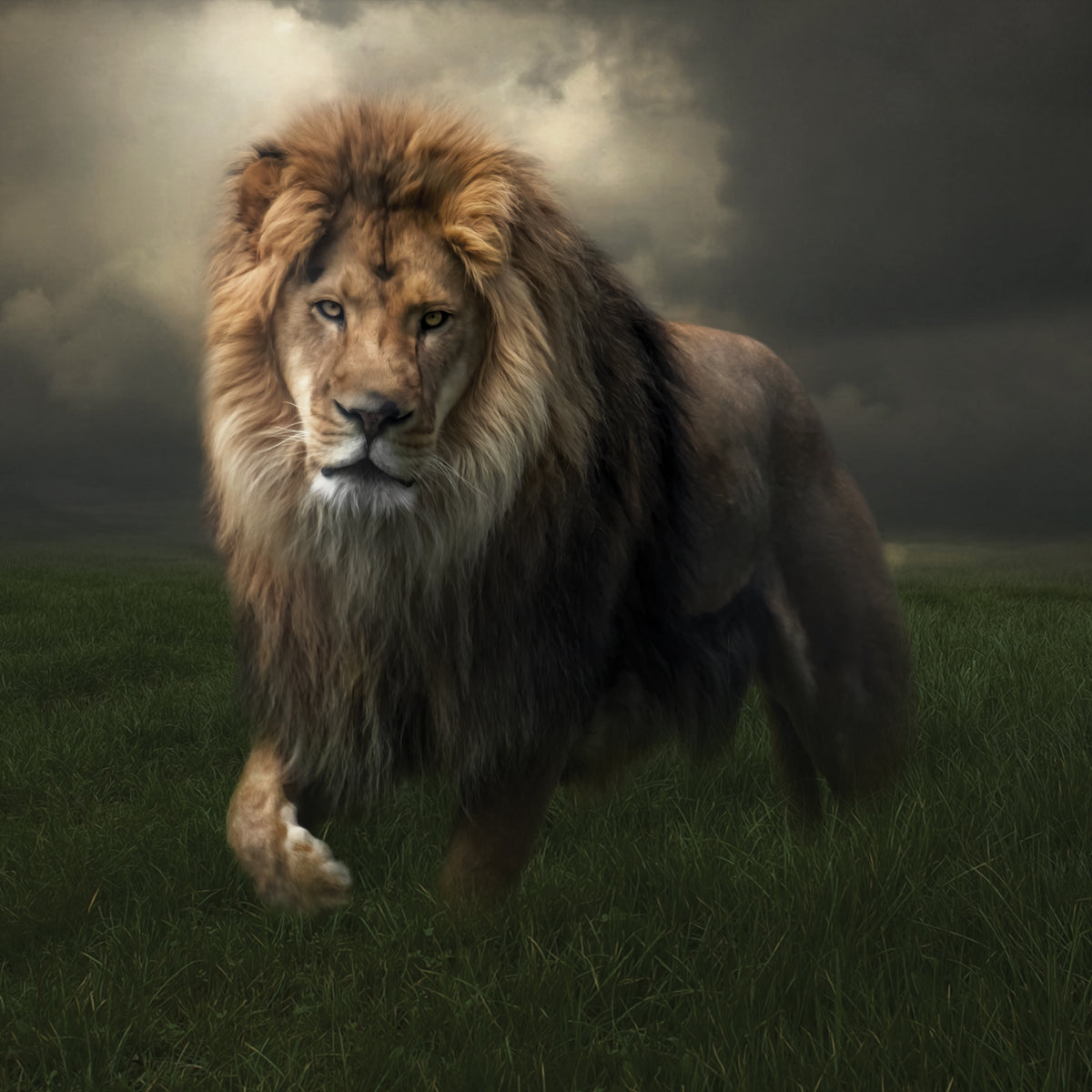 The True King