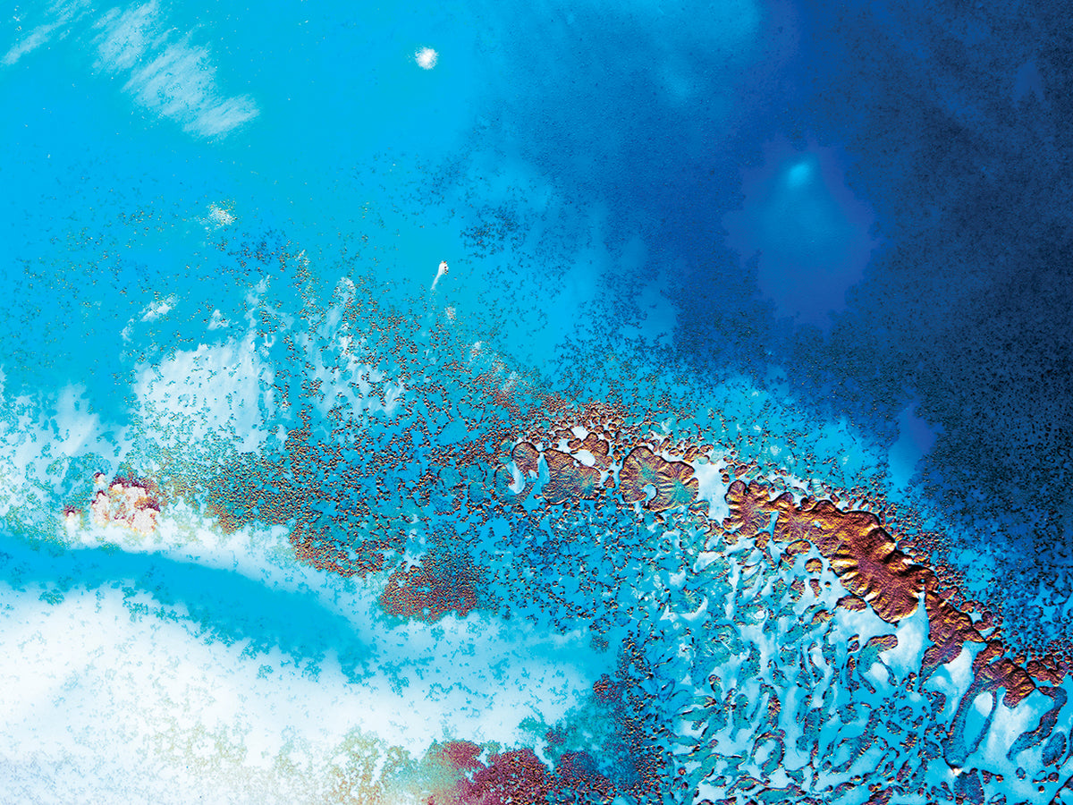 Into the Blue