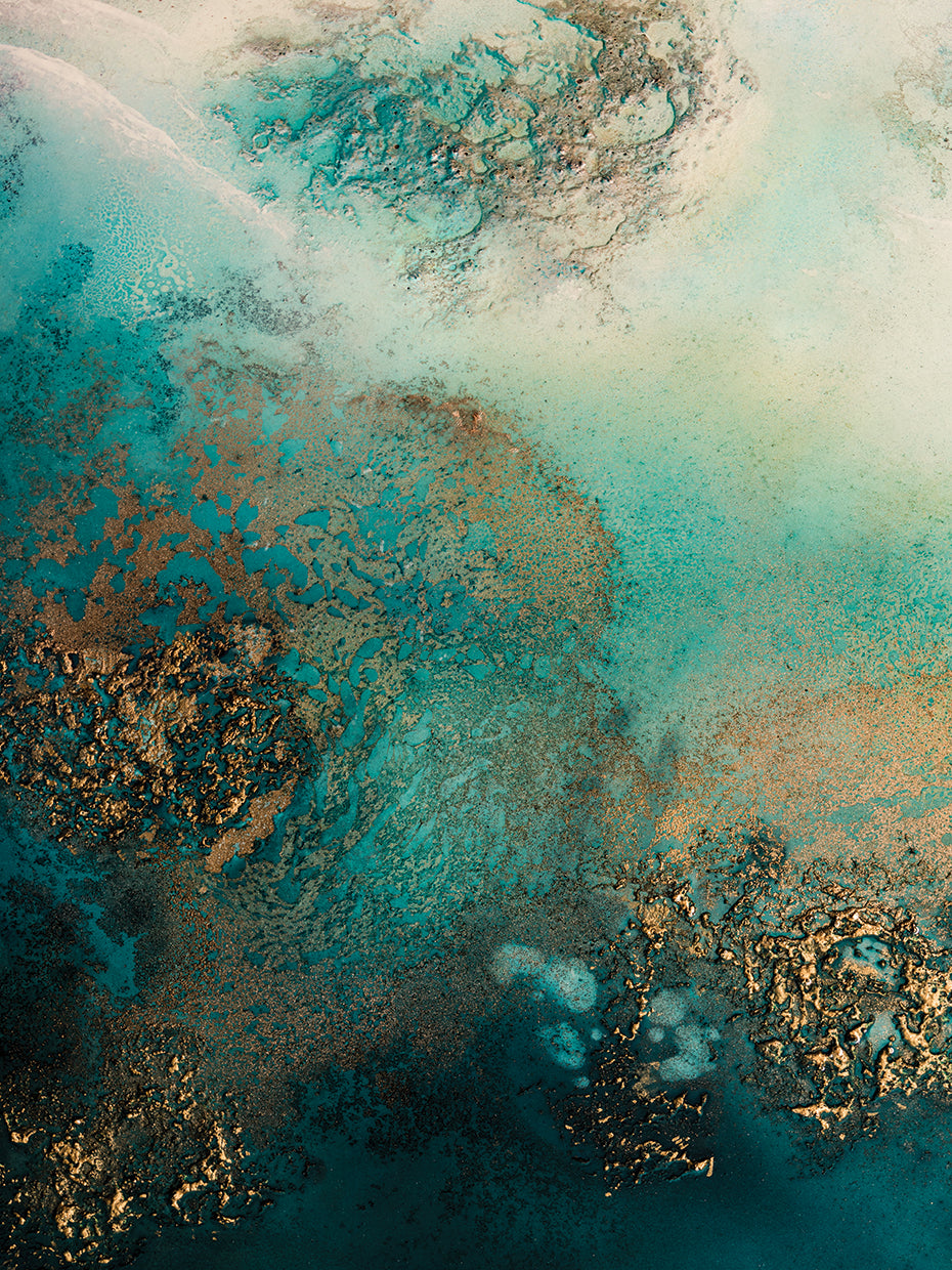 Reef Shimmer