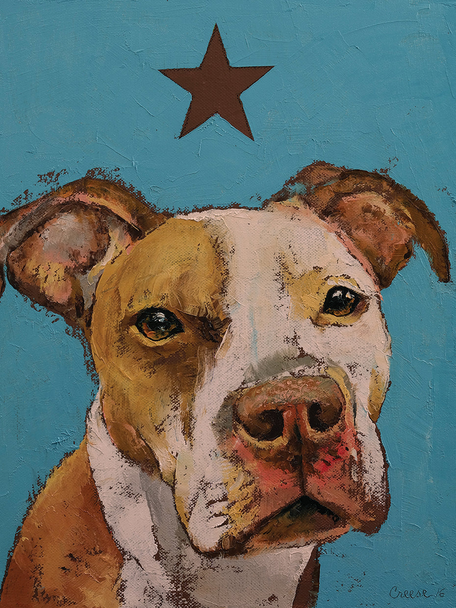 American PitBull