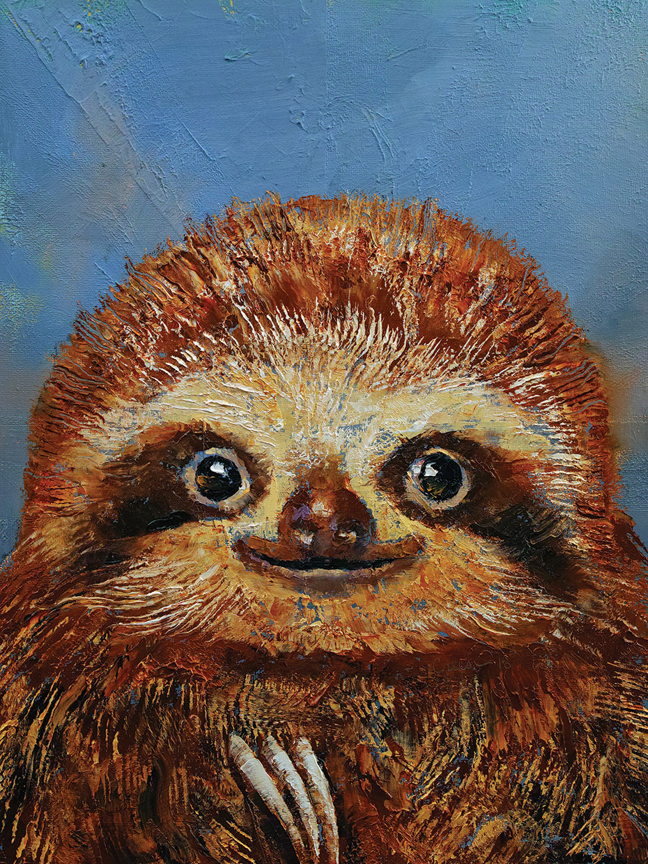 Baby Sloth
