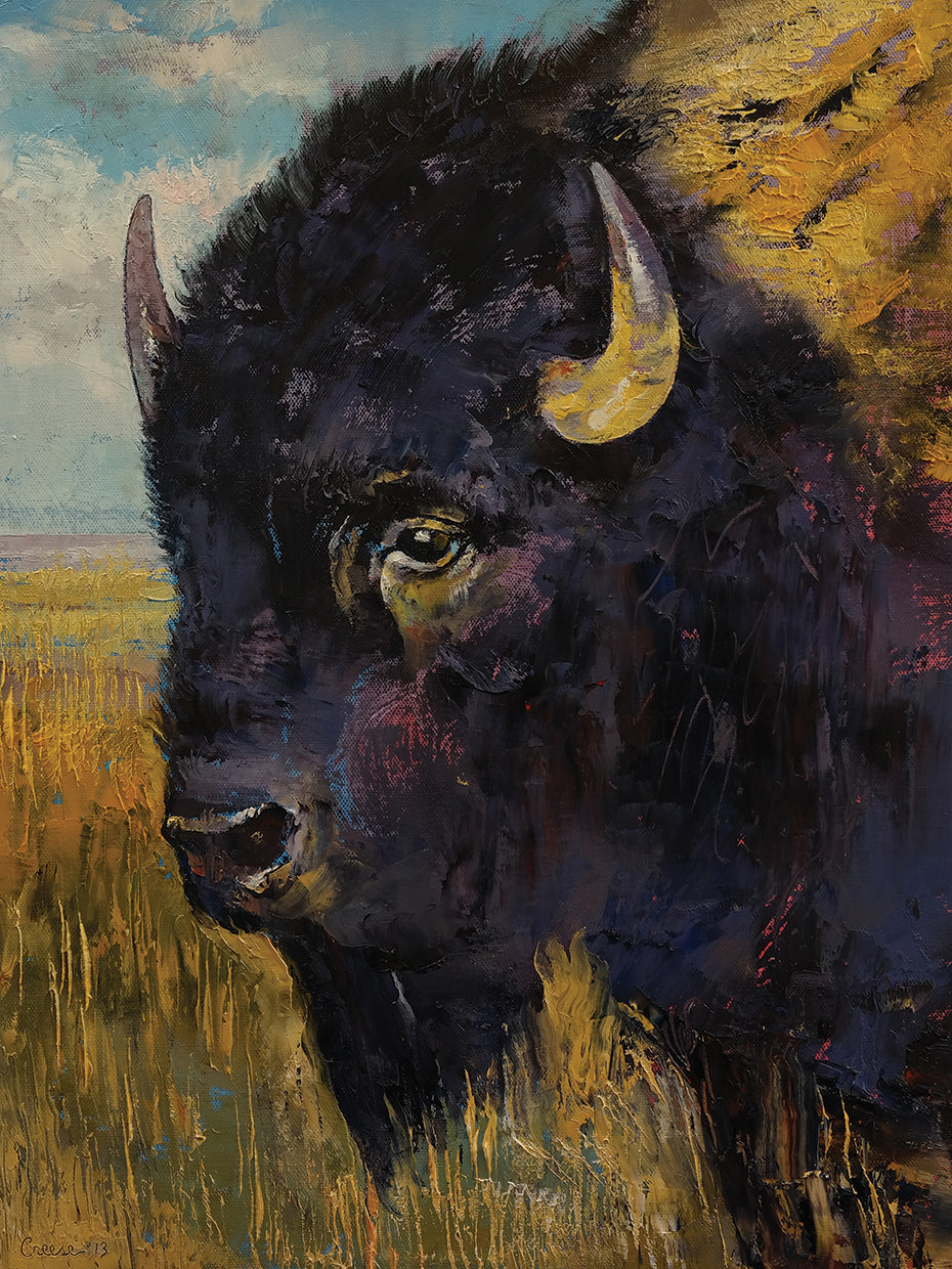 Bison