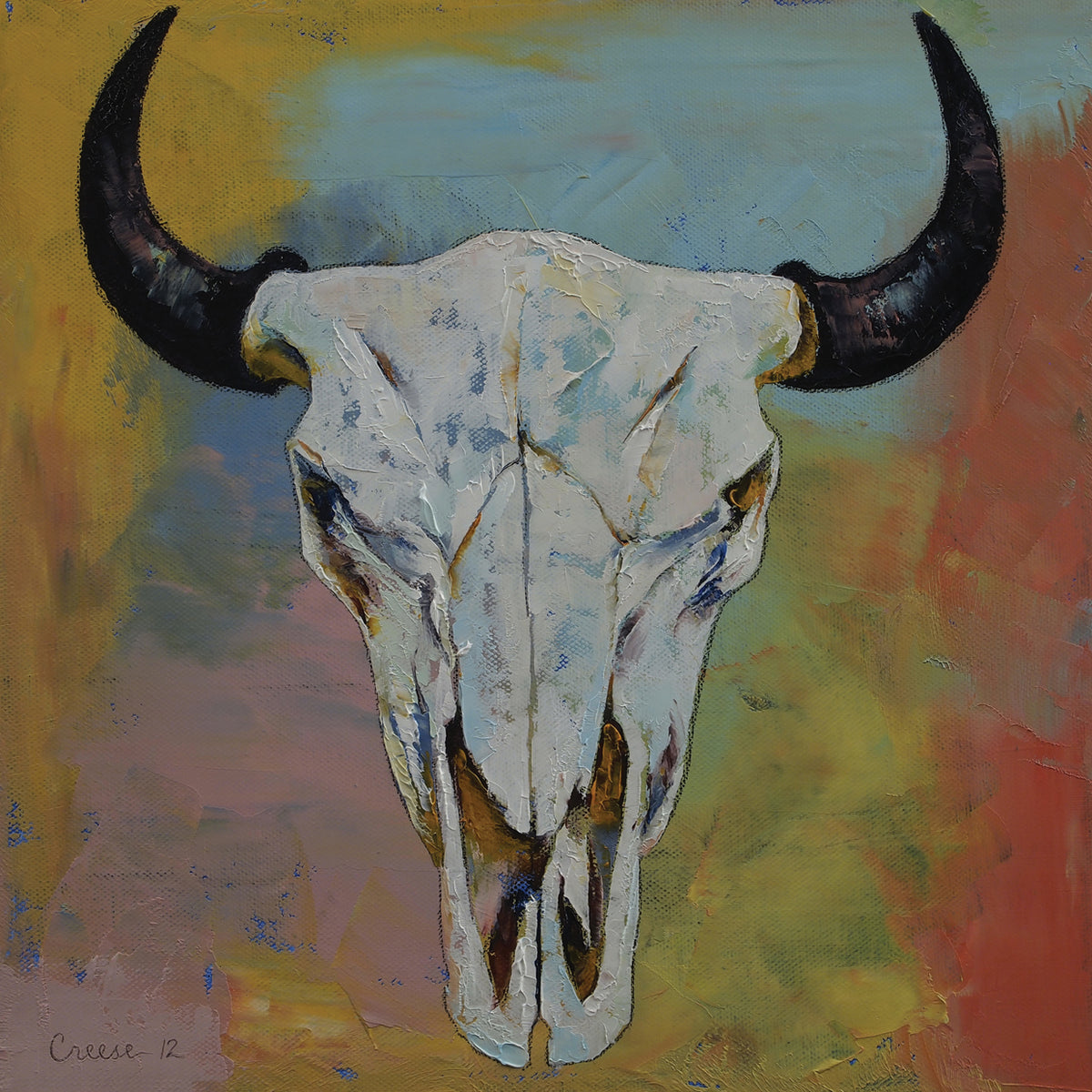 Bison Skull