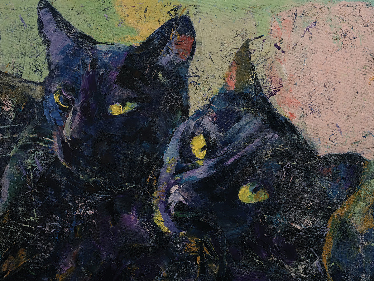 Black Cats