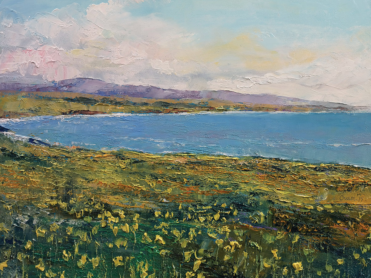 California Poppies
