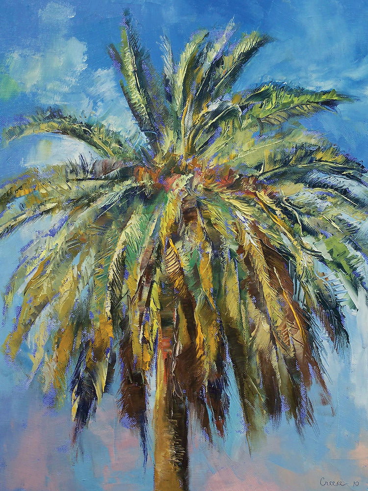 Canary Island Date Palm