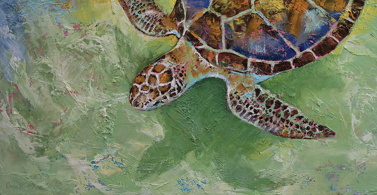Caribbean SeaTurtle
