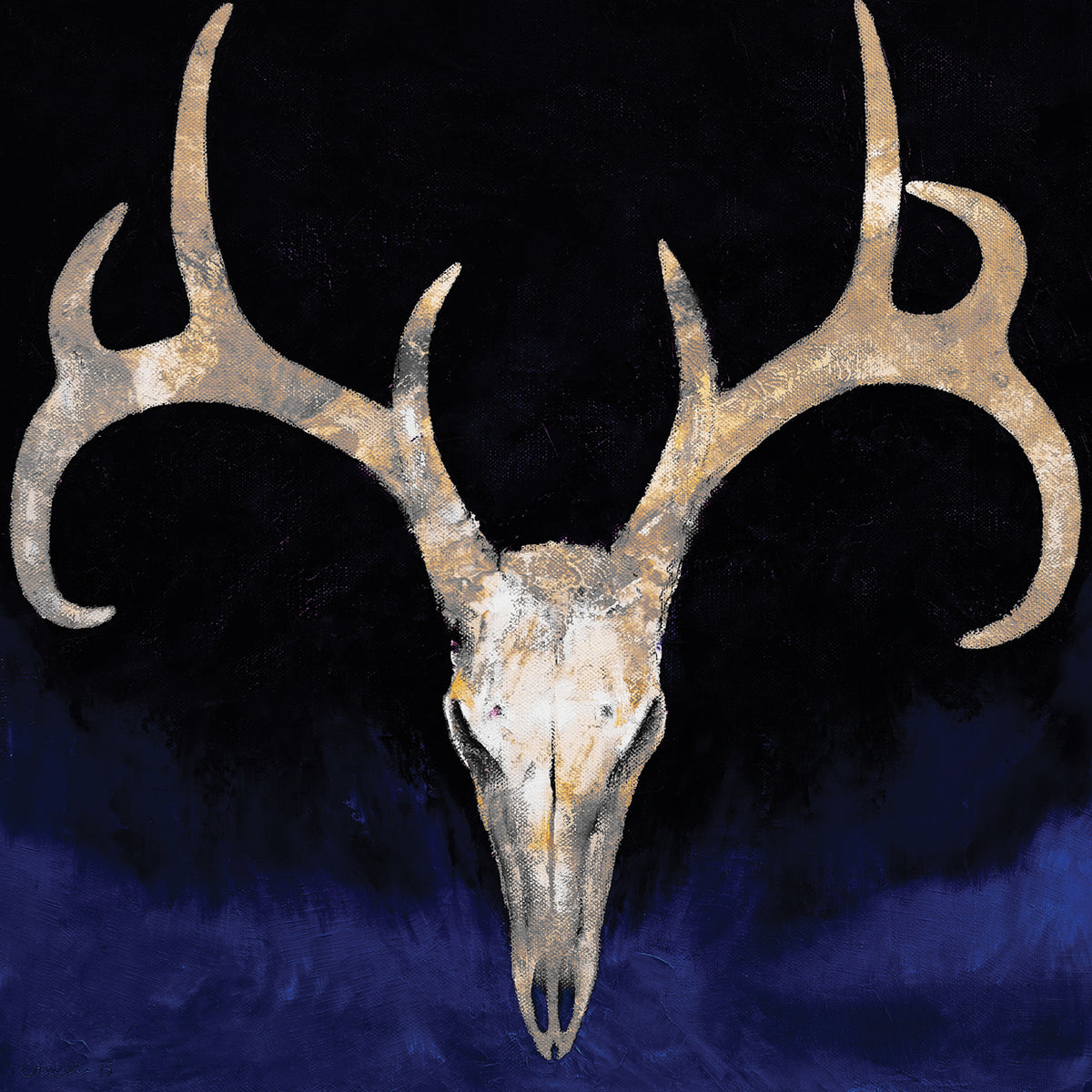 Deer Skull