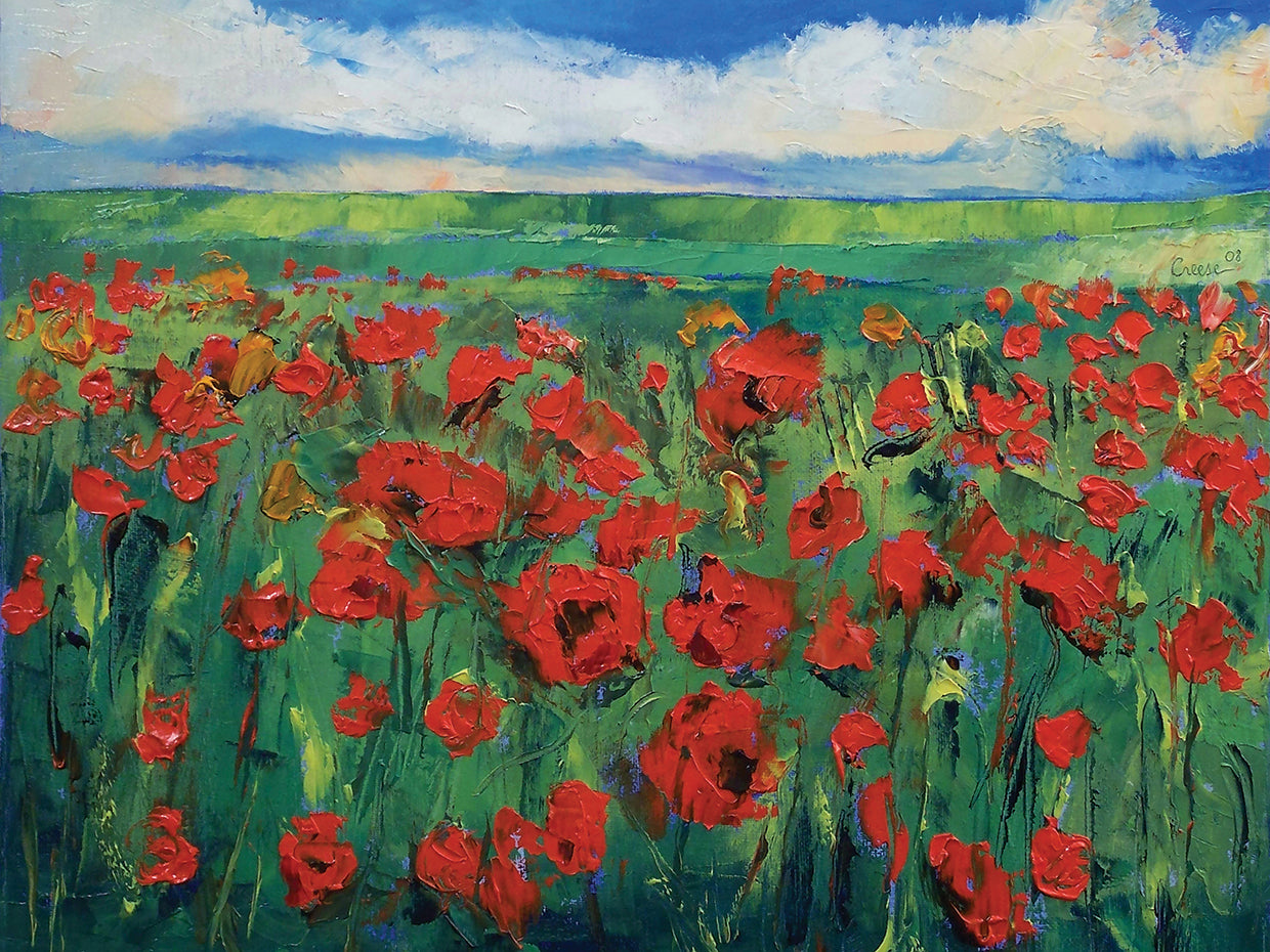 Field Of Red Poppies