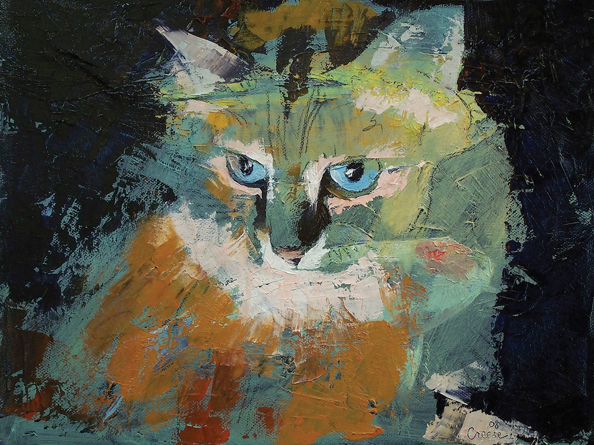 Himalayan Cat