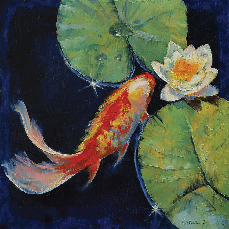 Koi And WhiteLily