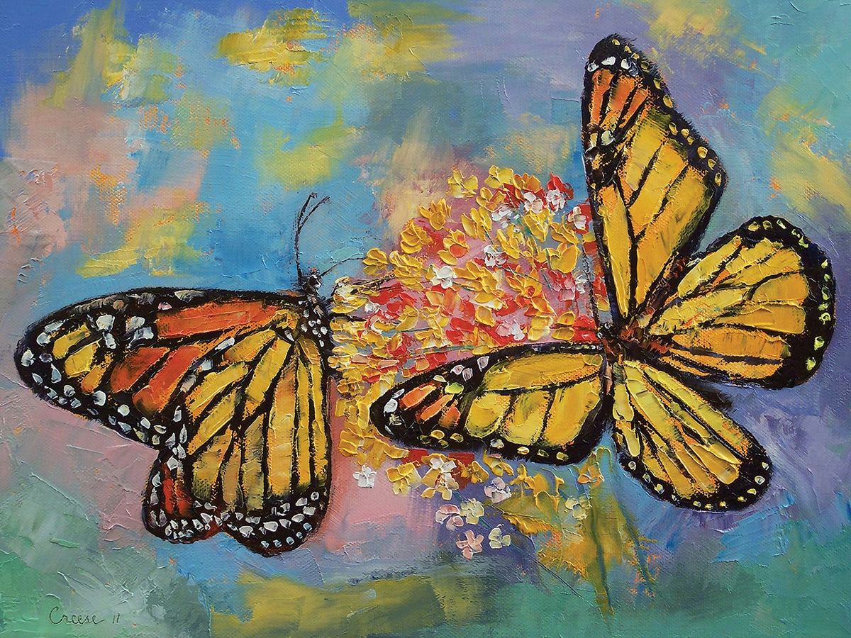 Monarch Butterflies