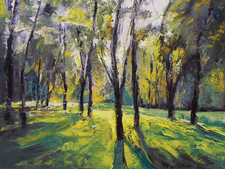 Pontefract Park AtSunset