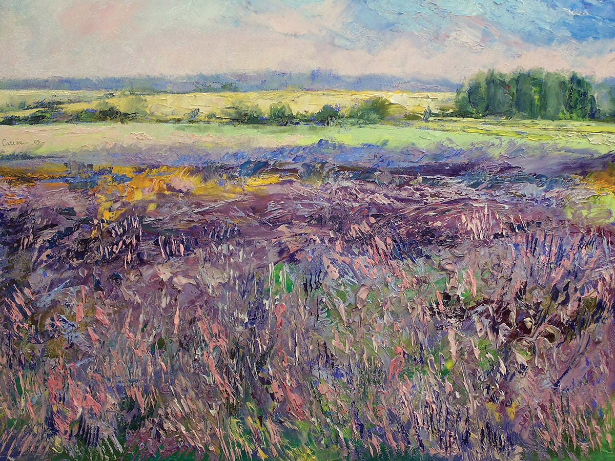 Provence Lavender