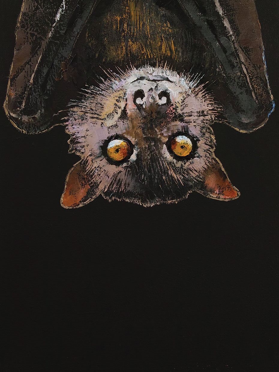 Bat