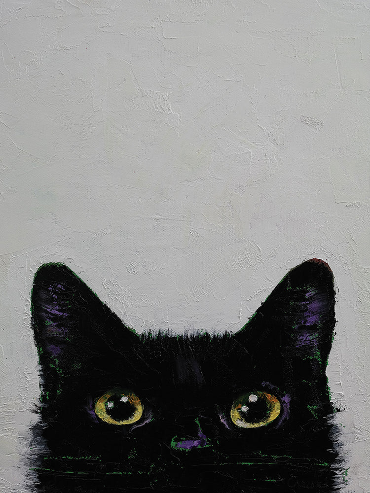 Black Cat