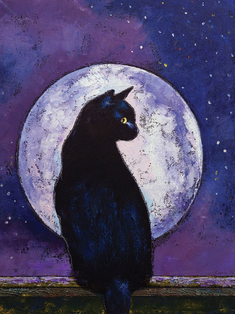 Black Cat Moonlight
