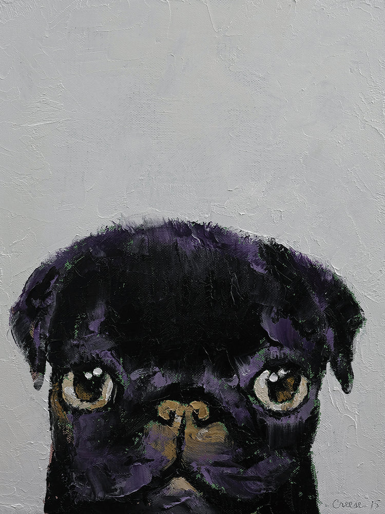 Black Pug