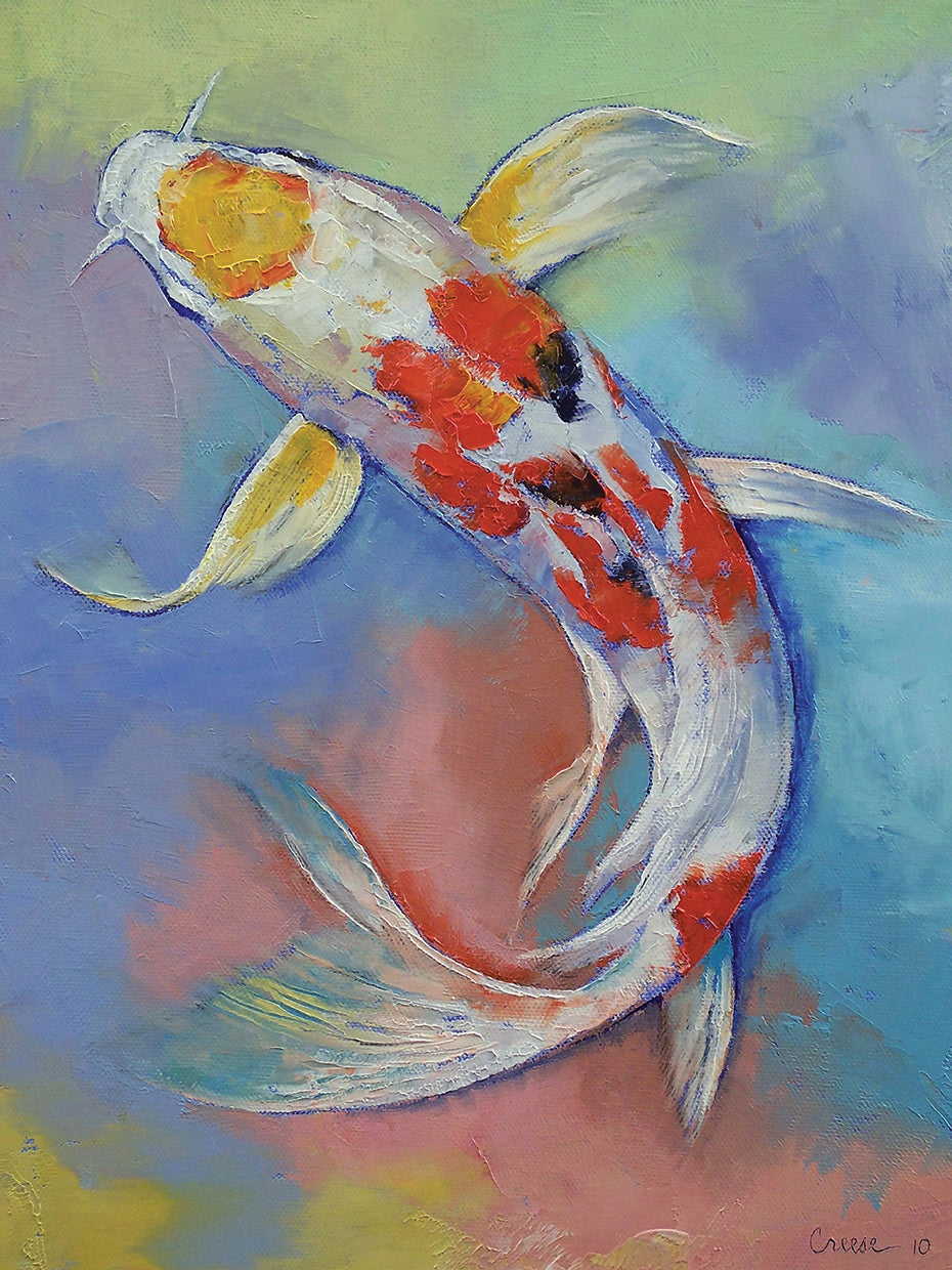 Butterfly Koi Fish