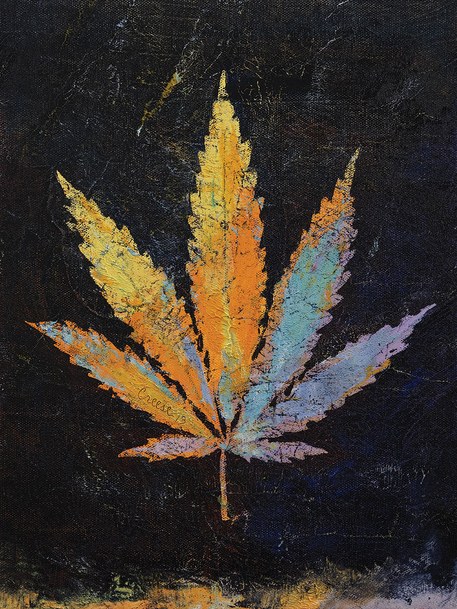 Cannabis