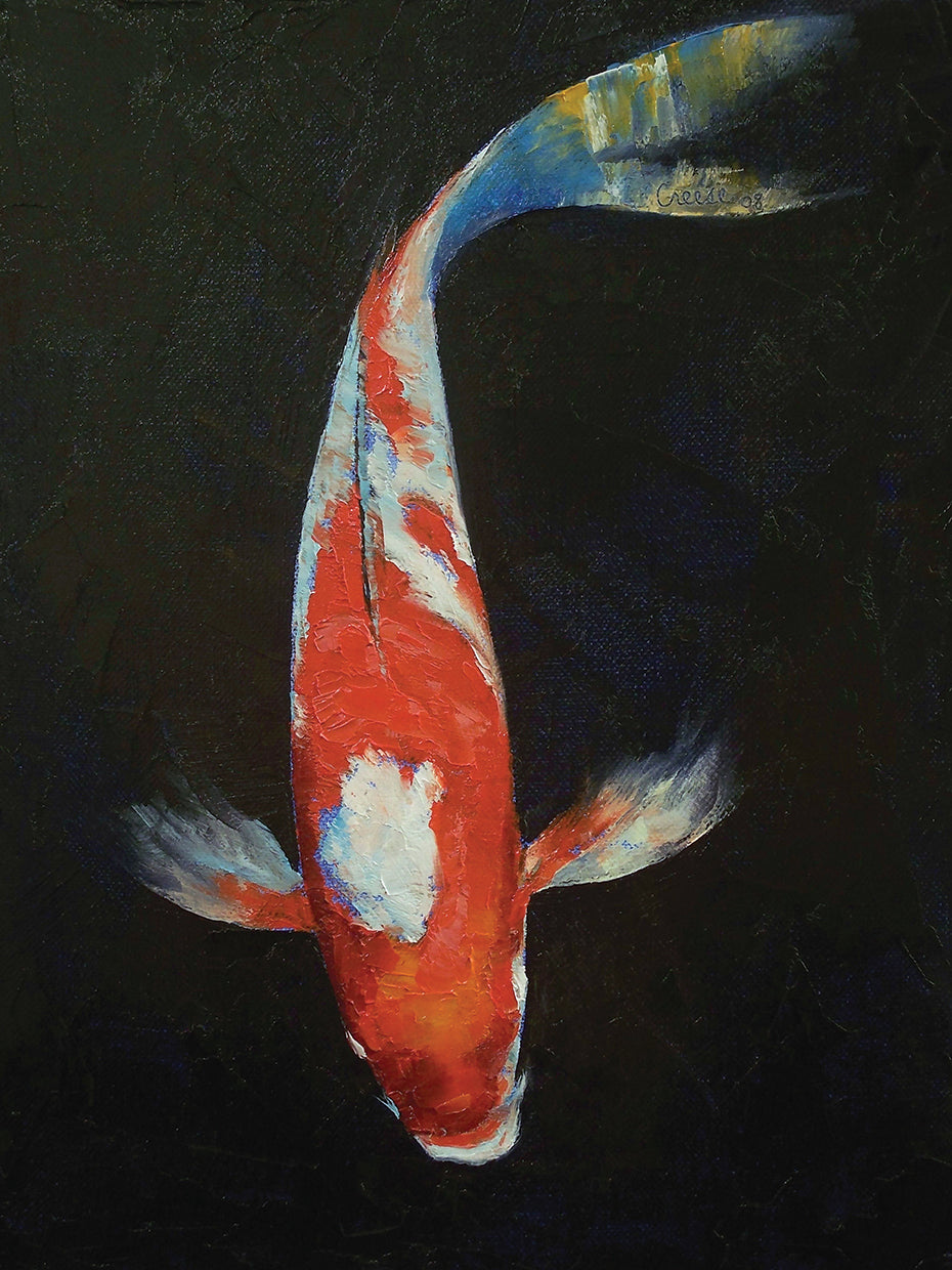 Koi