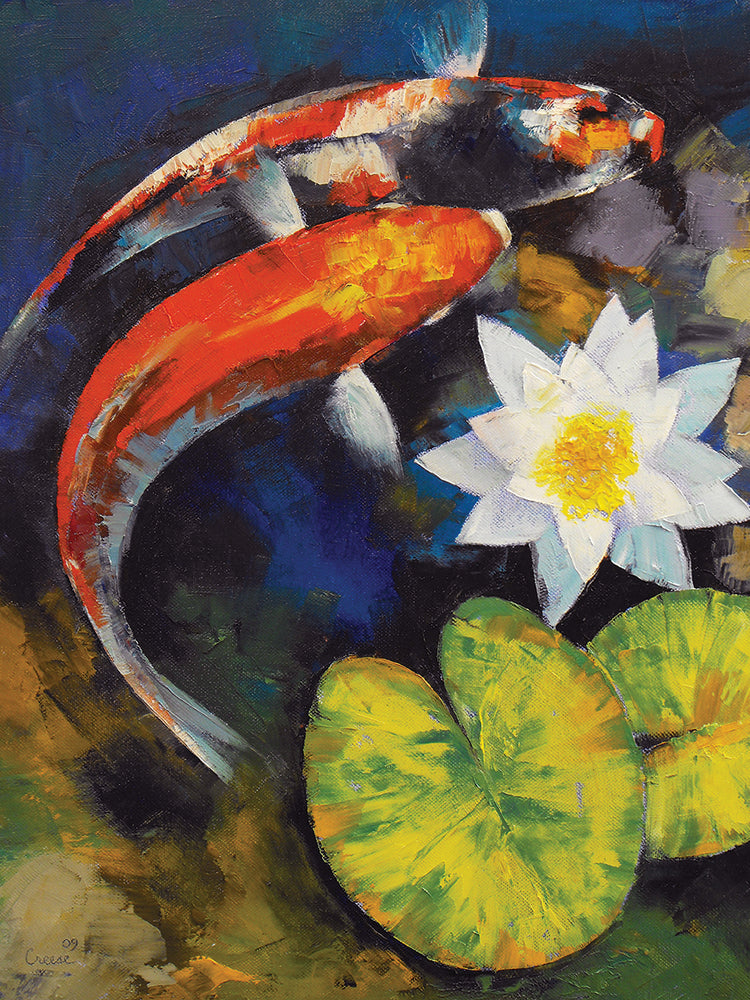 Koi Fish and Water Lily