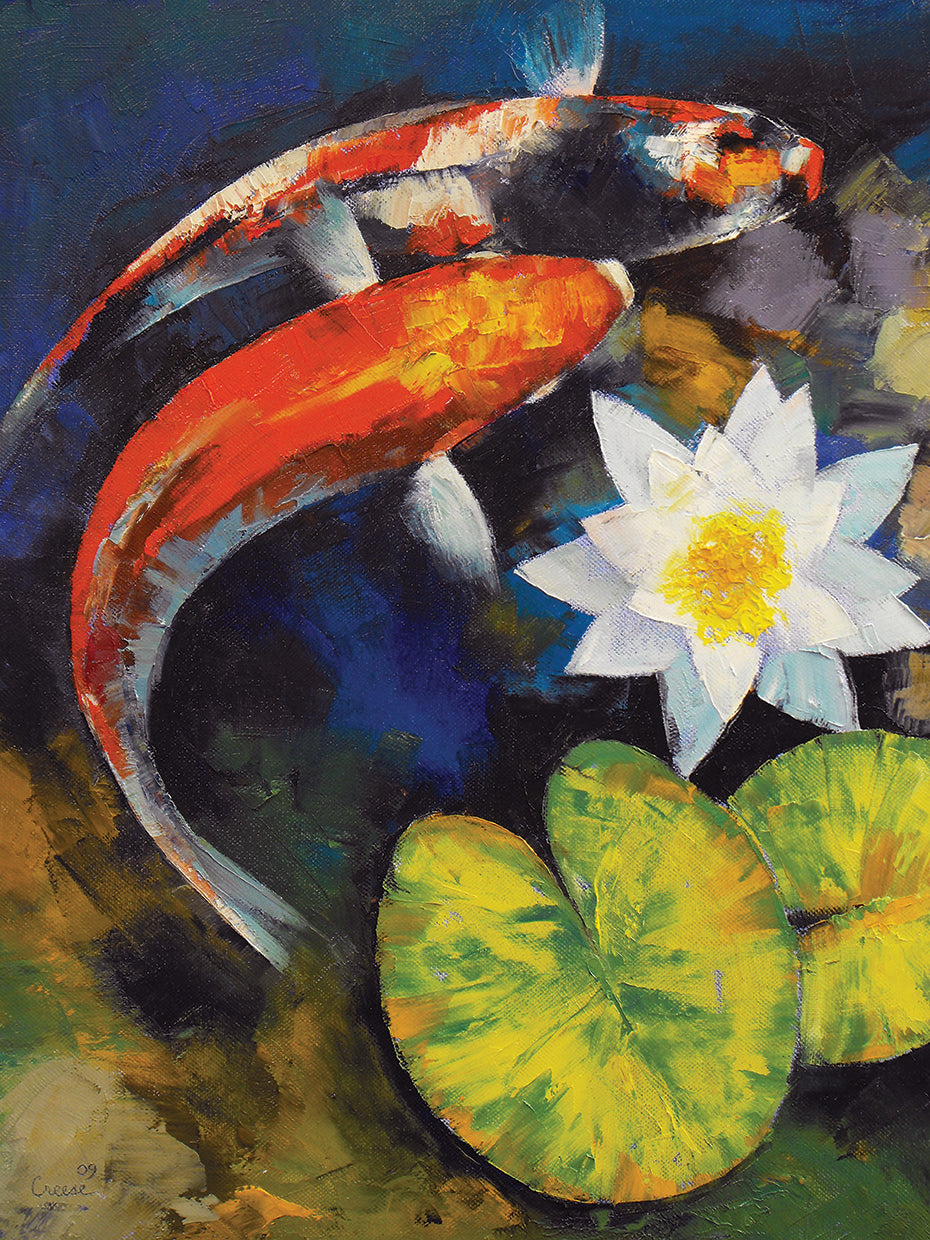 Koi Fish and Water Lily
