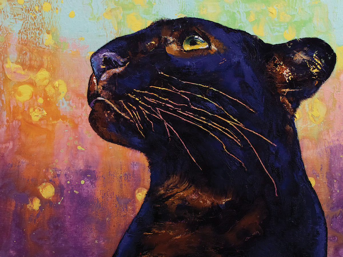 Panther Colors