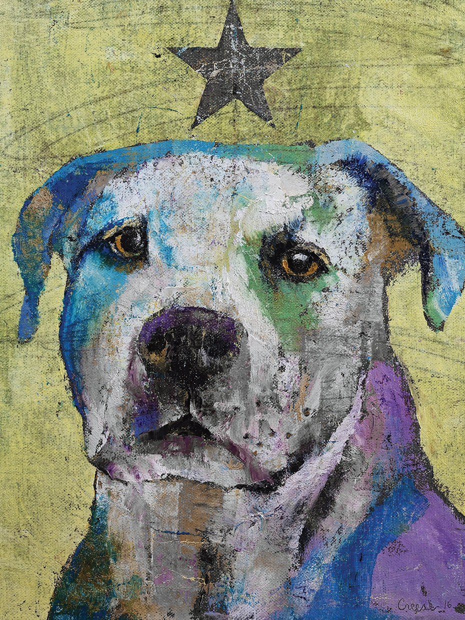 Pit Bull Terrier
