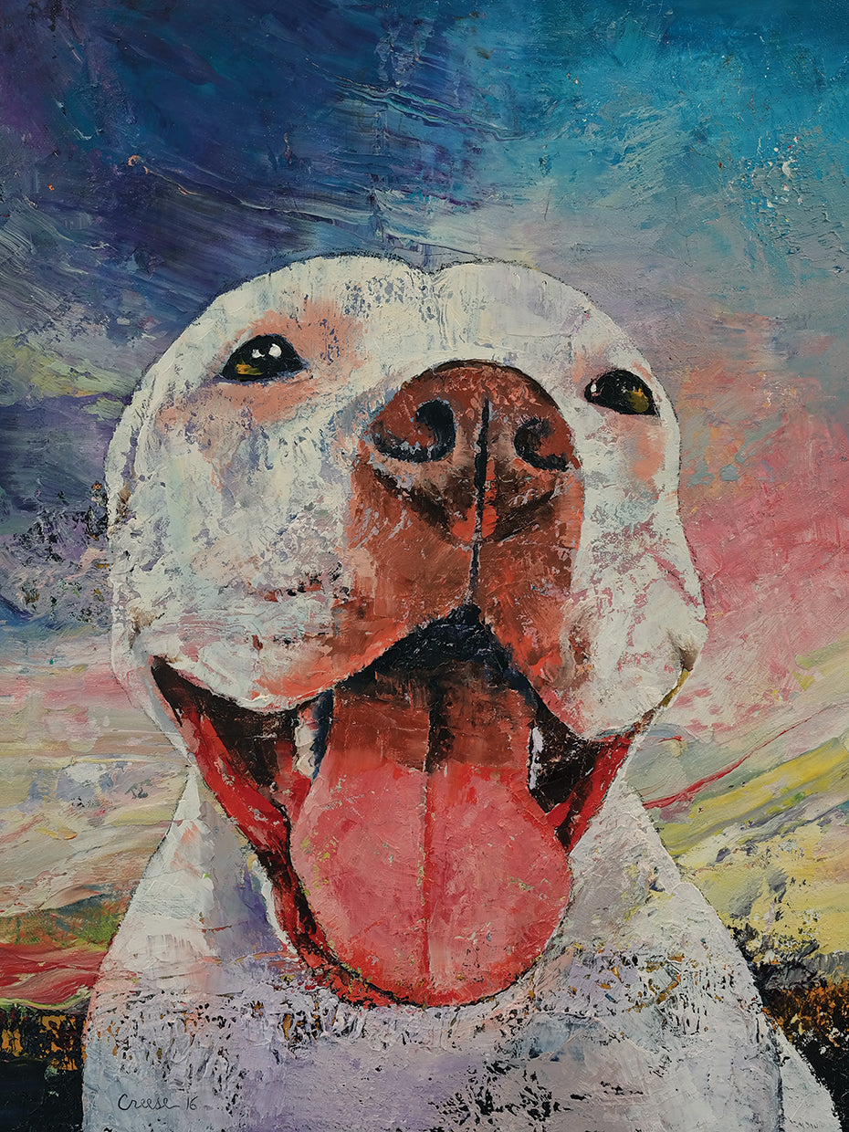 Pitbull