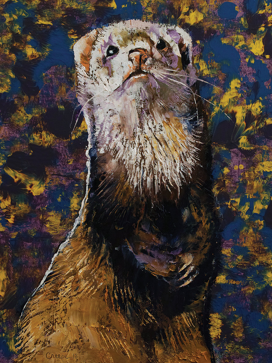 Regal Ferret