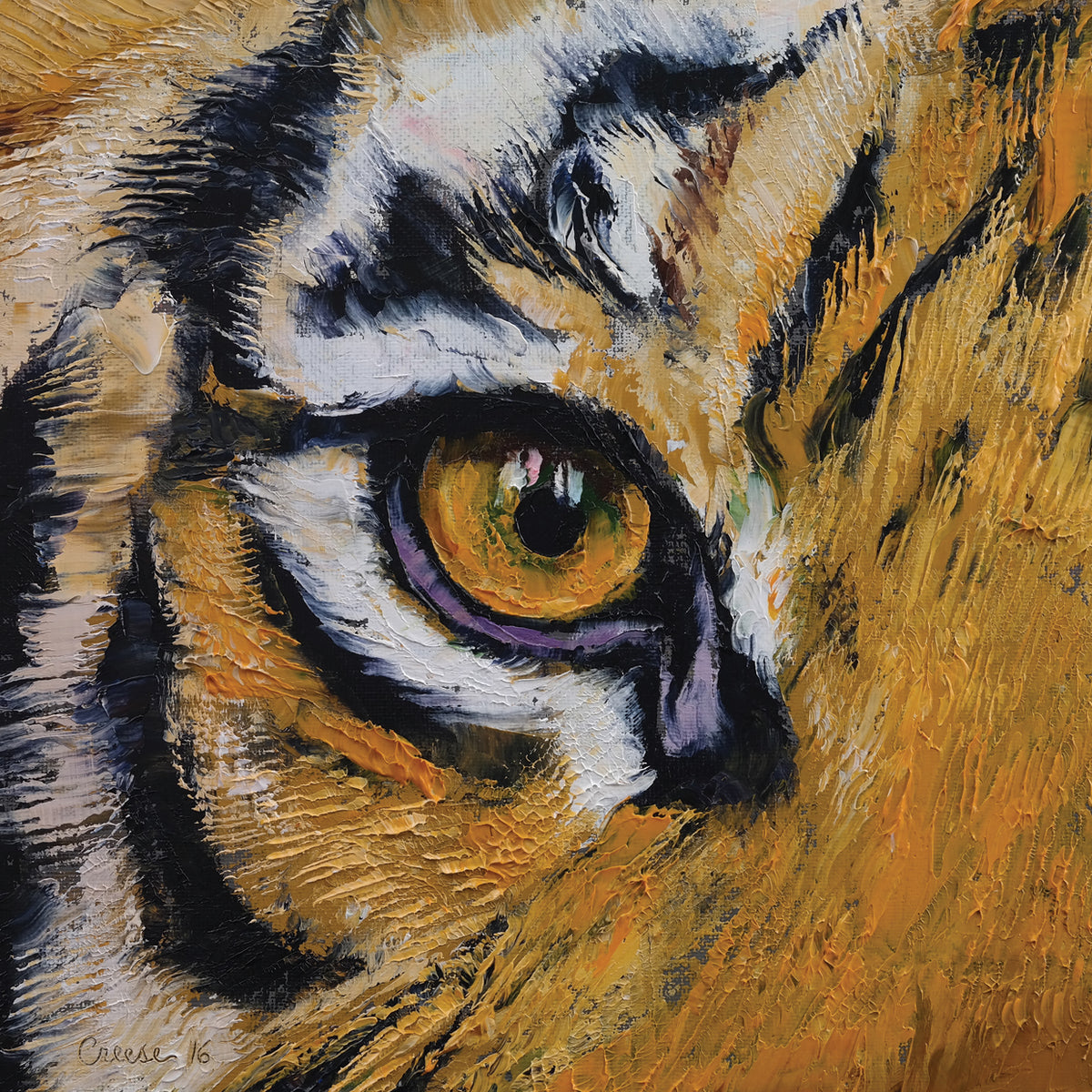 Tiger Eye