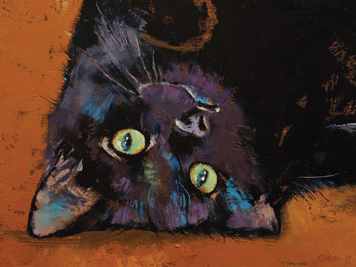 Upside Down Kitten