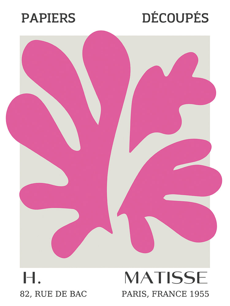 Matisse Musuem Series 23