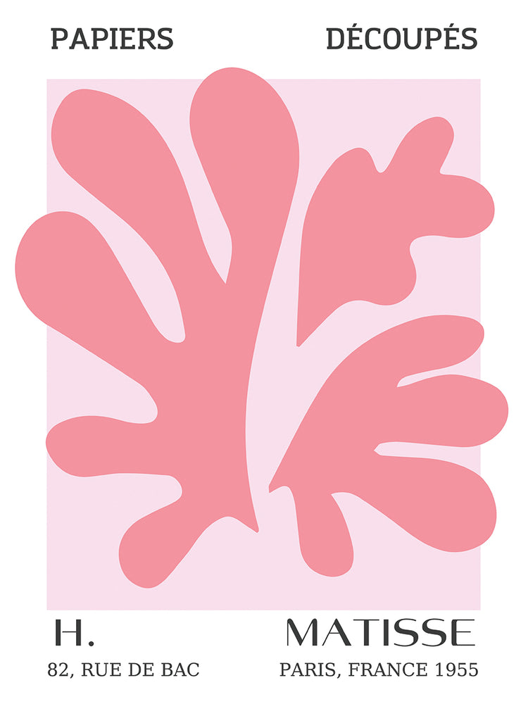 Matisse Musuem Series 45