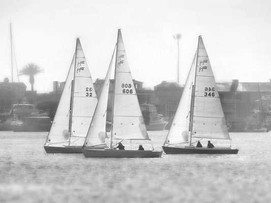 Three's The Charm-Sailboats