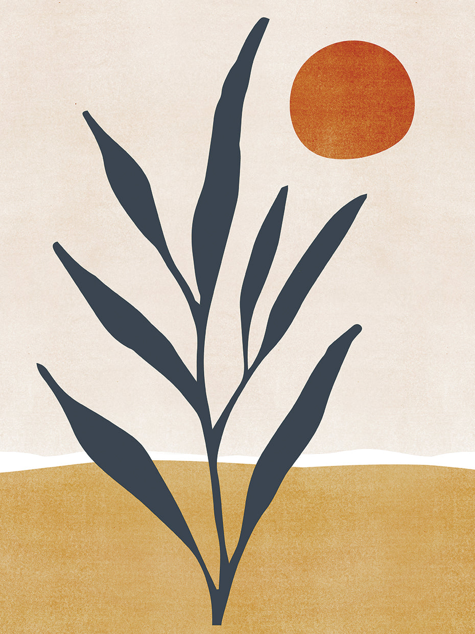 Desert Minimal Landscape