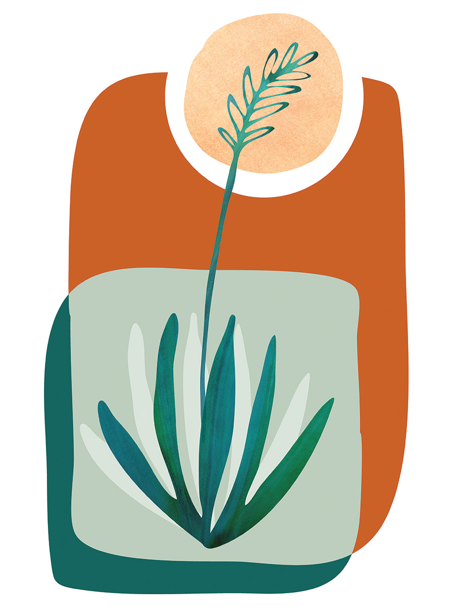 Painted Agave Sun