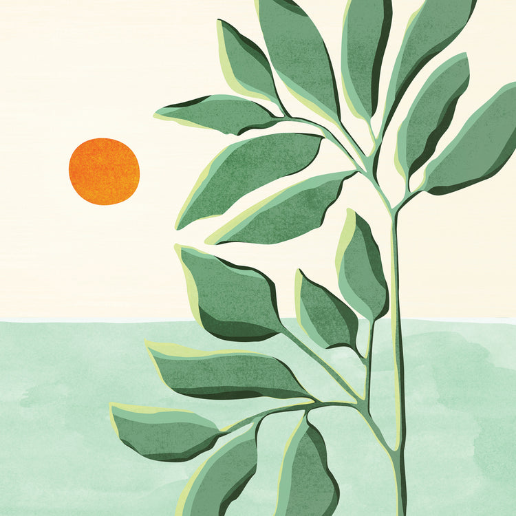 Sunset At The Beach House No2