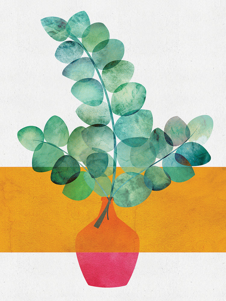 Eucalyptus and sunshine