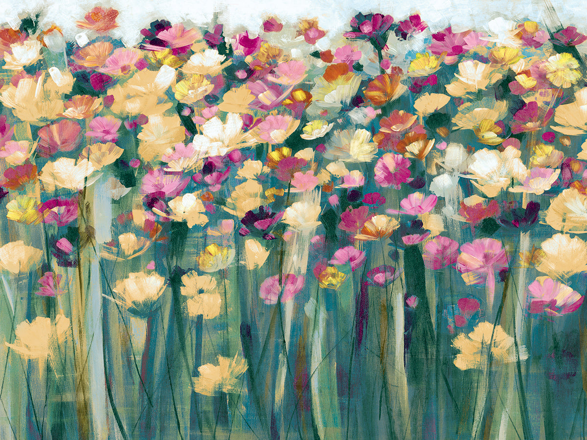 Field of Tulips