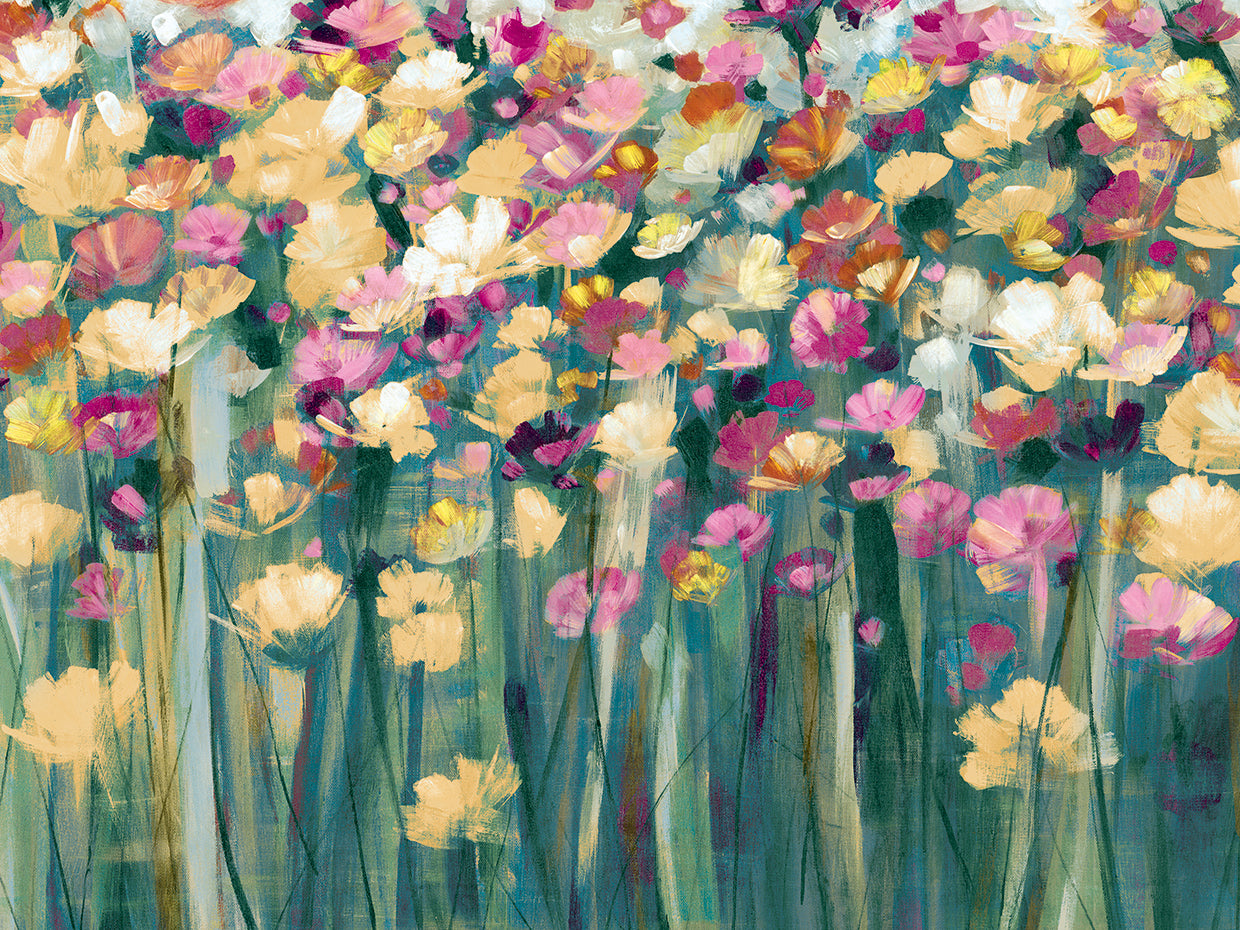 Field of Tulips