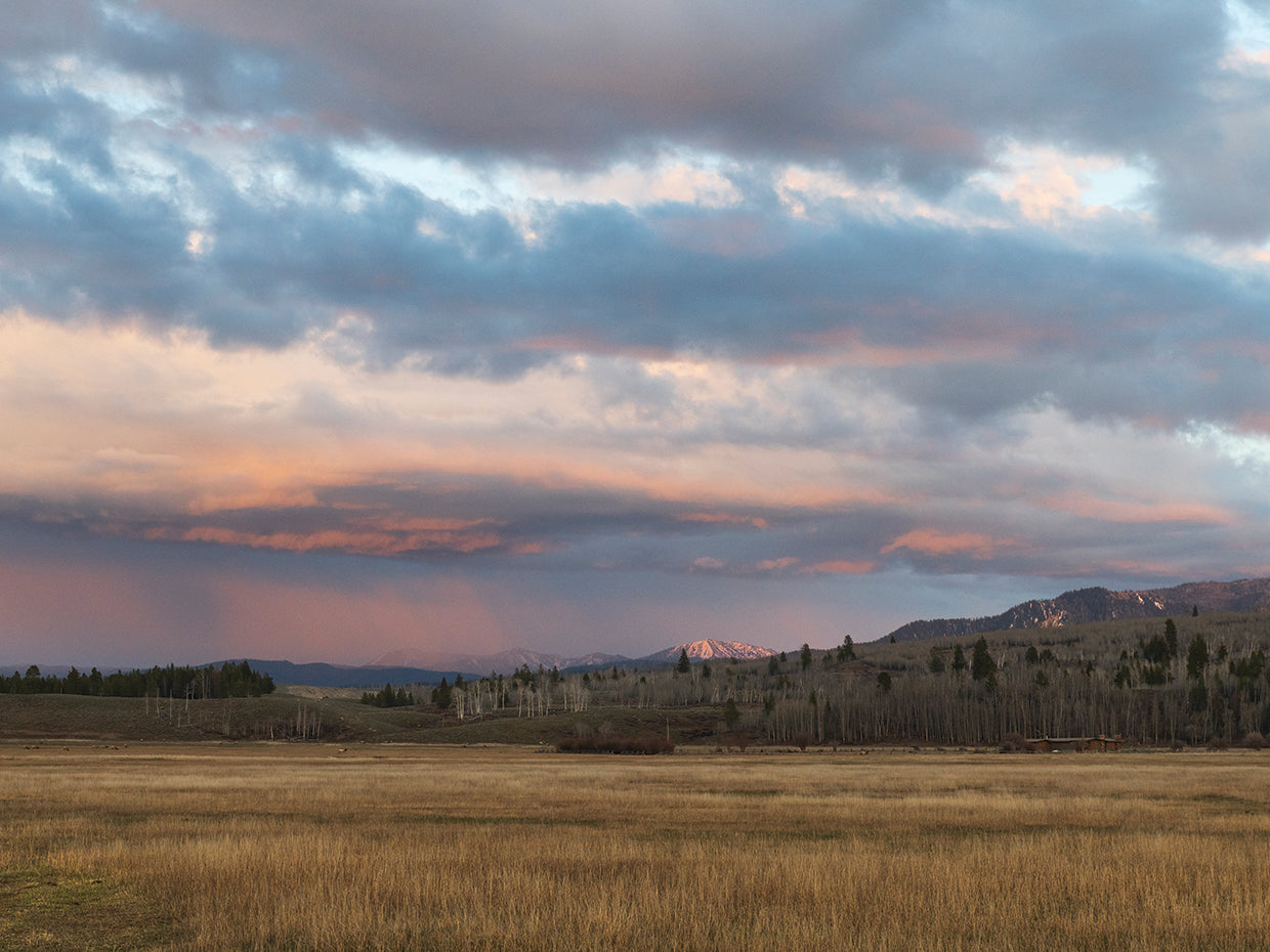 Hiding in Plain Sight