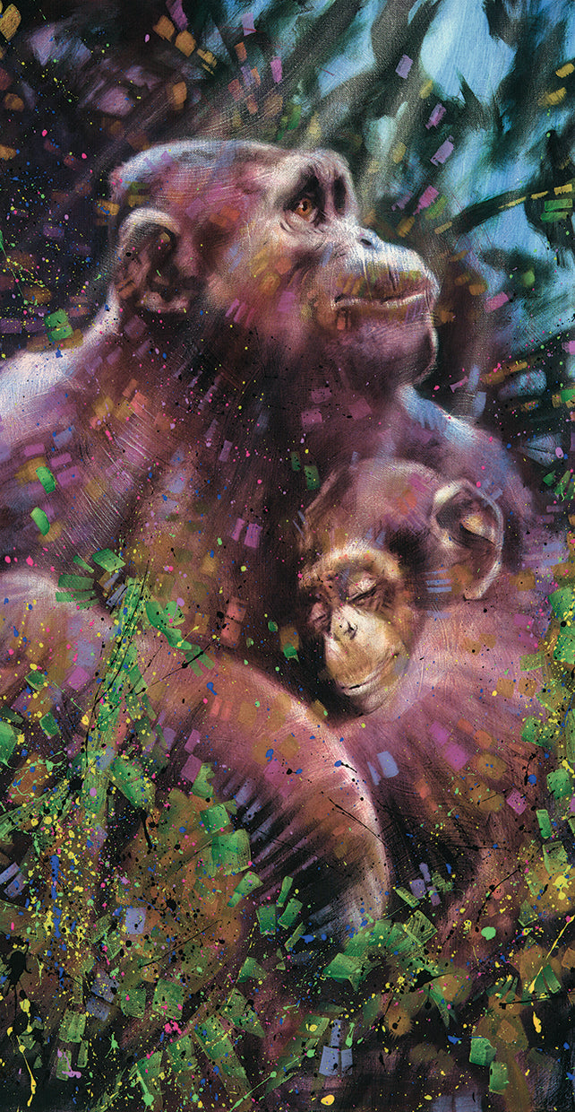 Chimpanzee - Mother & Child