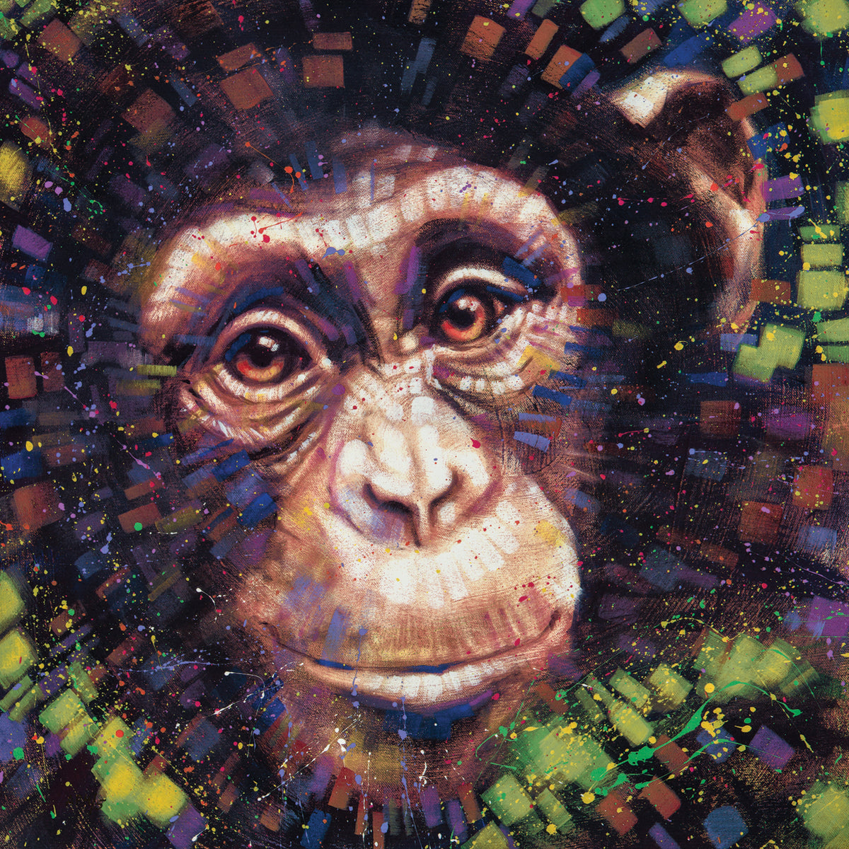 Chimpanzee