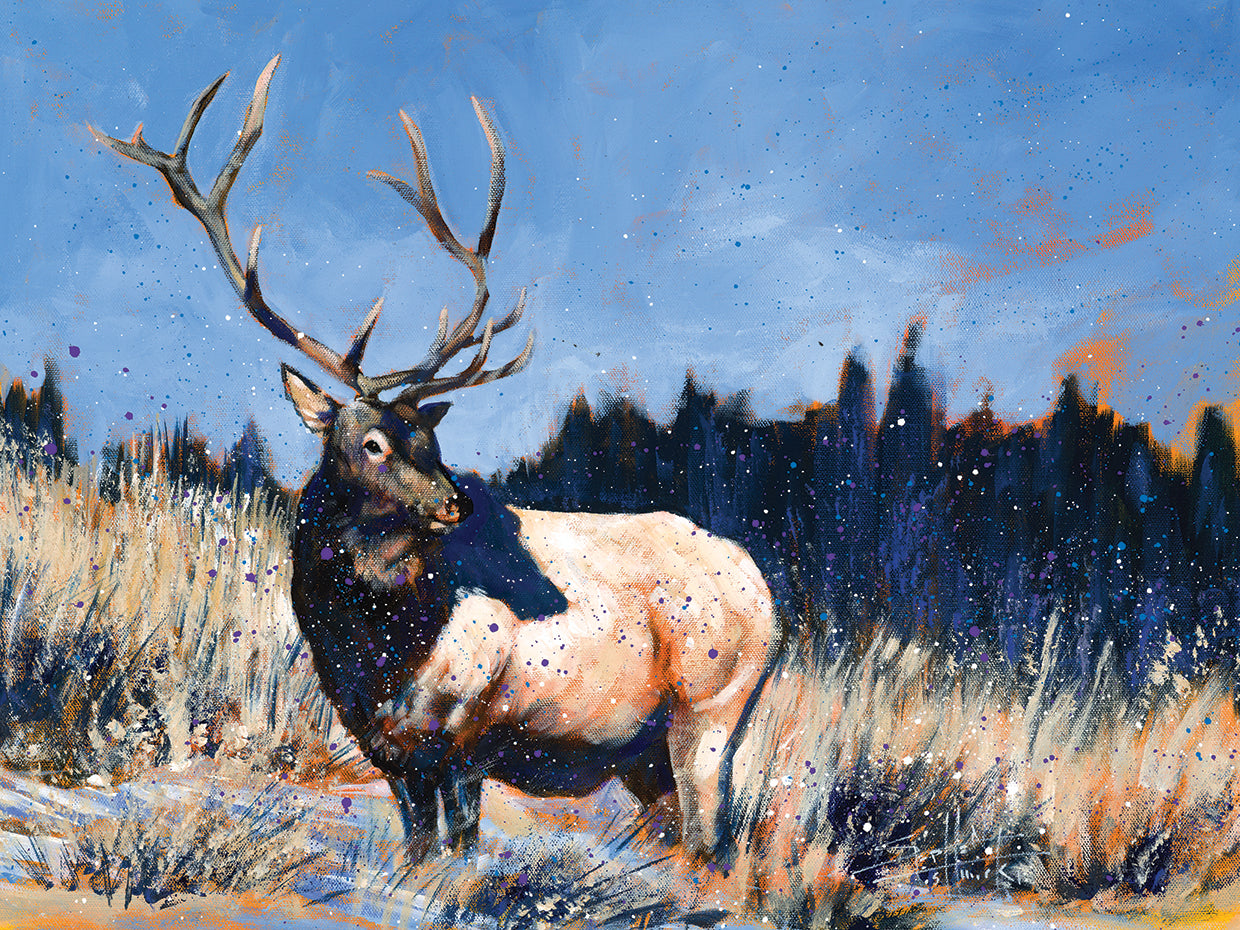Elk In The Wild